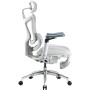 Крісло офісне Sihoo Doro C300 Pro Mesh White with footrest (Doro-C300-Pro-M102-JT)