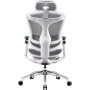 Крісло офісне Sihoo Doro C300 Pro Mesh White (DORO-C300-PRO-M102)
