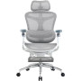 Крісло офісне Sihoo Doro C300 Pro Mesh White with footrest (Doro-C300-Pro-M102-JT)