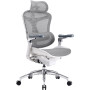 Крісло офісне Sihoo Doro C300 Pro Mesh White (DORO-C300-PRO-M102)