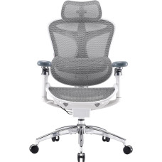 Крісло офісне Sihoo Doro C300 Pro Mesh White (DORO-C300-PRO-M102)