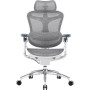 Крісло офісне Sihoo Doro C300 Pro Mesh White (DORO-C300-PRO-M102)