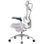 Крісло офісне Sihoo Doro C300 Pro Mesh White (DORO-C300-PRO-M102)
