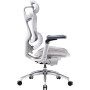 Крісло офісне Sihoo Doro C300 Pro Mesh White (DORO-C300-PRO-M102)