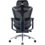 Крісло офісне Sihoo Doro C300L Mesh Black with footrest (Doro-C300L-A3-101-JT)