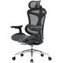 Крісло офісне Sihoo Doro C300L Mesh Black (DORO-C300L-A3-101)