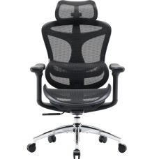 Крісло офісне Sihoo Doro C300L Mesh Black (DORO-C300L-A3-101)