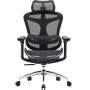 Крісло офісне Sihoo Doro C300L Mesh Black (DORO-C300L-A3-101)