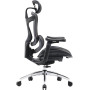 Крісло офісне Sihoo Doro C300L Mesh Black (DORO-C300L-A3-101)