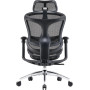 Крісло офісне Sihoo Doro C300L Mesh Black (DORO-C300L-A3-101)
