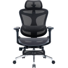 Крісло офісне Sihoo Doro C300L Mesh Black with footrest (Doro-C300L-A3-101-JT)