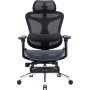 Крісло офісне Sihoo Doro C300L Mesh Black with footrest (Doro-C300L-A3-101-JT)