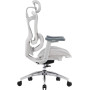 Крісло офісне Sihoo Doro C300L Mesh White DORO-C300L-A3-102)
