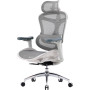 Крісло офісне Sihoo Doro C300L Mesh White DORO-C300L-A3-102)