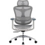 Крісло офісне Sihoo Doro C300L Mesh White DORO-C300L-A3-102)