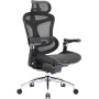 Крісло офісне Sihoo Doro C300 Pro Mesh Black (DORO-C300-PRO-M101)