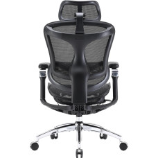Крісло офісне Sihoo Doro C300 Pro Mesh Black (DORO-C300-PRO-M101)