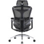 Крісло офісне Sihoo Doro C300 Pro Mesh Black (DORO-C300-PRO-M101)