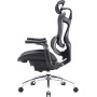 Крісло офісне Sihoo Doro C300 Pro Mesh Black (DORO-C300-PRO-M101)