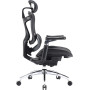 Крісло офісне Sihoo Doro C300 Pro Mesh Black (DORO-C300-PRO-M101)