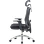 Крісло офісне OfficePro Aero OC490B Black