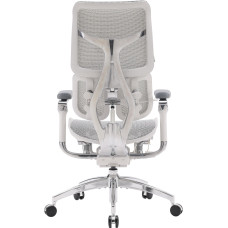 Крісло офісне Sihoo Doro S300 Mesh Light Grey (S300-M202)