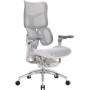 Крісло офісне Sihoo Doro S300 Mesh Light Grey (S300-M202)