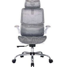 Крісло офісне OfficePro Verto OC570G