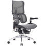 Крісло офісне Sihoo Doro S300 Mesh Dark Grey (S300-M201)