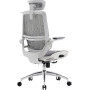 Крісло офісне Sihoo M59AS Mesh Gray (M59AS-M301)