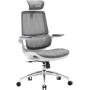 Крісло офісне Sihoo M59AS Mesh Gray (M59AS-M301)