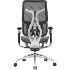 Крісло офісне Sihoo Doro S300 Mesh Dark Grey (S300-M201)
