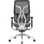 Крісло офісне Sihoo Doro S300 Mesh Dark Grey (S300-M201)
