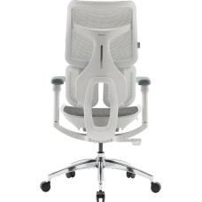 Крісло офісне Sihoo Doro S100 Mesh White (S100-M302)