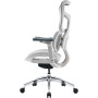 Крісло офісне Sihoo Doro S100 Mesh White (S100-M302)
