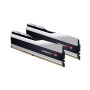 DDR5 2x16GB/6000 G.Skill Trident Z5 Silver (F5-6000J3636F16GX2-TZ5S)