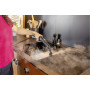 Пароочисник Karcher SC 4 Deluxe Iron (1.513-462.0)