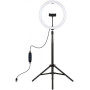 Кольцевая LED-лампа Puluz PKT3061B 11.8" + штатив 1.65 м (PKT3061B)