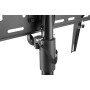 Стойка презентационная для плазм и ЖК ITech FS08-46T Black