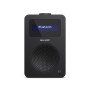 Радіоприймач Sharp DR-430 Black (DR-430(BK))