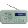 Радіоприймач Sharp DR-P420 Green (DR-P420(GN))