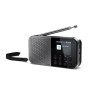 Радіоприймач Sharp DR-P520 Grey (DR-P520(GY))