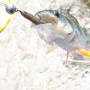 Силикон рыболовный Keitech Swing Impact 4" (8 шт/упак) ц:101 green pumpkin pp. (1551.00.65)