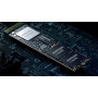 Накопичувач SSD 512GB Samsung PM9A1 M.2 PCIe 4.0 x4 (MZVL2512HCJQ-00B00) OEM