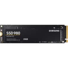 SSD внутрішні SAMSUNG 980 EVO 250GB NVMe M.2 (MZ-V8V250BW)