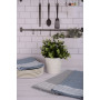 Кухонний текстиль THE TEXTILE Рушник 50*80СМ 85гр Strip
