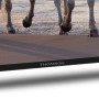 Телевiзор Thomson Android TV 55" UHD 55UA5S13