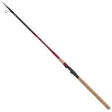 Удилище Shimano Catana EX 2.40M 10-30гр (SCATEXTE24M)