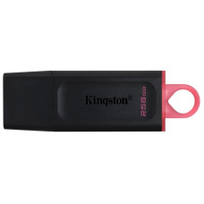 флеш-драйв KINGSTON DT Exodia 256GB USB 3.2 Black/Pink